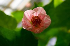 DSC_2752.jpg