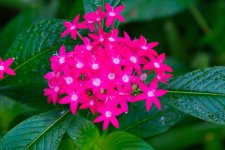 DSC_2755.jpg