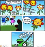 Flower.jpg