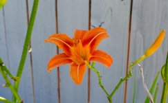 DSC_2877.jpg