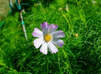 DSC_2887.jpg