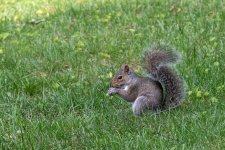 _DSC8840.jpg
