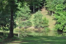 our pond 06-14-21.jpg