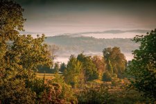 High Breeze Farm Morning Fog resize.jpg