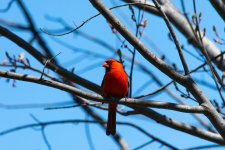 DSC_0435.jpg