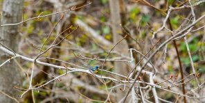 DSC_0941.jpg