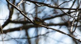 DSC_1070.jpg
