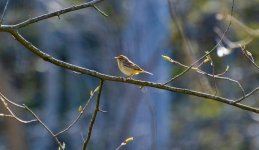 DSC_1107.jpg
