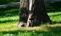 DSC_2814.jpg
