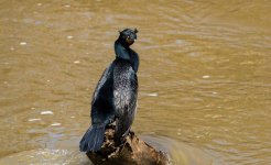 DSC_2603.jpg