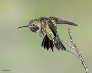 HummerSuperhero-922.jpg