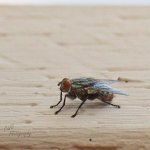 06-17-21-CR-_D501206-ON1.jpg