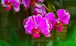 DSC_3835.jpg