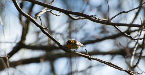 DSC_1072.jpg