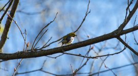 DSC_1118.jpg