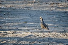 06-20-21-CR-_D501283-ON1.jpg