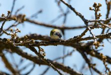 DSC_0481.jpg