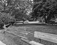 fence 3.jpg