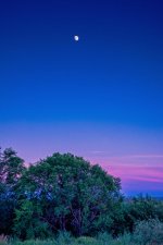 610_3217-Edit.jpg