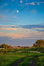 710_3246-Edit.jpg