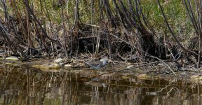 DSC_0663.jpg