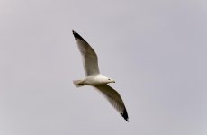 DSC_8792.jpg