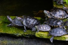 DSC_2767.jpg