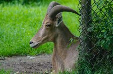 DSC_1111.jpg