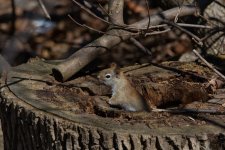 DSC_4322.jpg