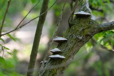 DSC_1504.jpg