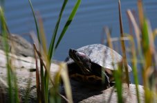 DSC_1381.jpg