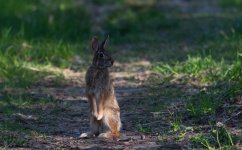 DSC_0326.jpg