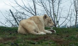 DSC_0653.jpg