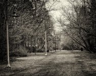 a7.jpg