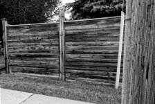 fence 6.jpg