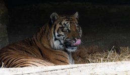 DSC_0443.jpg