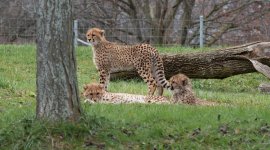 DSC_0553.jpg