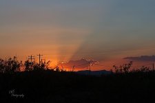 06-24-21-CR-_D501310-ON1.jpg