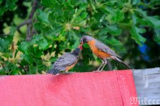 DSC_8462_01.jpg