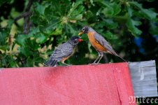 DSC_8464_01.jpg