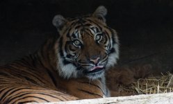 DSC_0453.jpg