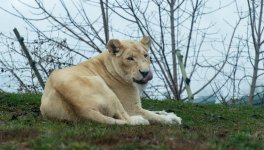 DSC_0670.jpg