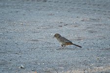 06-26-21-CR-_D501331-ON1.jpg