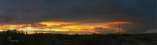 06-28-21-CR-_7505047 Pano-ON1.jpg