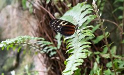 DSC_1078.jpg