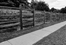 fence 7.jpg