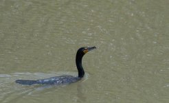 DSC_2774.jpg