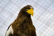 DSC_2012-2.jpg