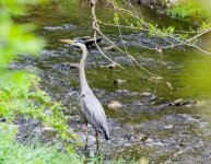 DSC_0172.jpg