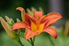 2MC_7438-Modifier.jpg